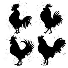 Chinese zodiac, roosters set, Chinese New Year 2017. Vector collection. Imitation of hand drawing or painting of the silhouettes with Chinese calligraphy Ink sticks or India ink splashes.