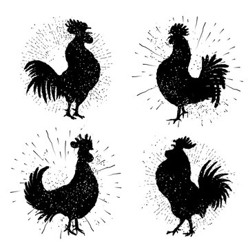 Set of  roosters. Collection of hipster vintage design with roosters. Imitation drawing or painting of roosters silhouette with Chinese calligraphy Ink sticks or India ink. Bundle of Zodiacs for 2017.