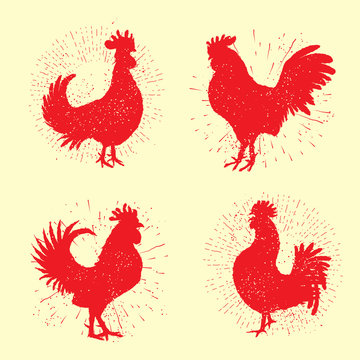 Set of rooster labels. Vintage style cock illustration on hand drawing sunburst background or sun ray frame in vintage hipster style collection. Ink brush painting imitation with splashes.