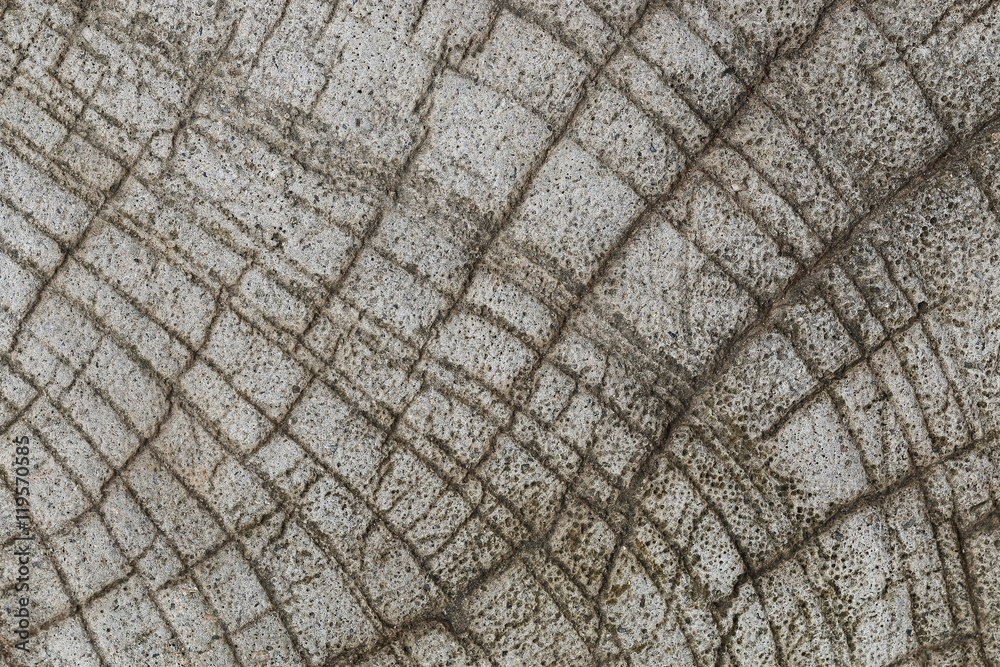 Poster design on cement and concrete texture for background