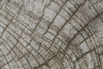 design on cement and concrete texture for background