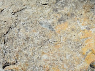 Volcanic rock with minerals in the North Cascades