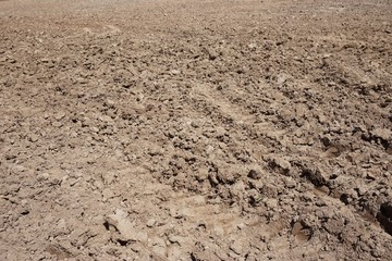prepare soil cultivation