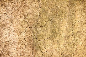 dry soil texture background