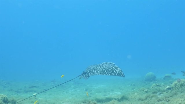 รูปภาพRochen – เลือกดูภาพถ่ายสต็อก เวกเตอร์ และวิดีโอ2,368 | Adobe Stock