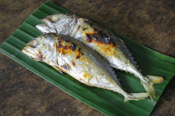 Grilled mackerel