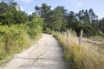 Park of Pateira de Fermentelos,Portugal.	