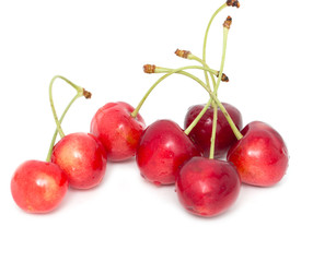red cherries on a white background
