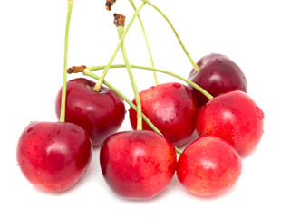 red cherries on a white background
