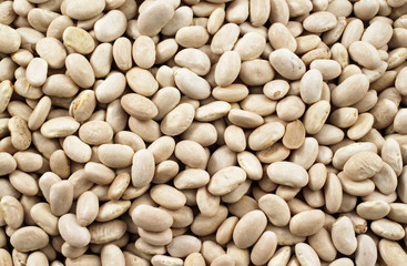 A close up image of dried white beans