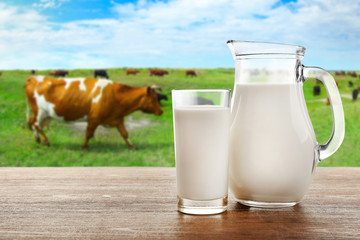 Milk in glass and in jar on table with cows on the meadow