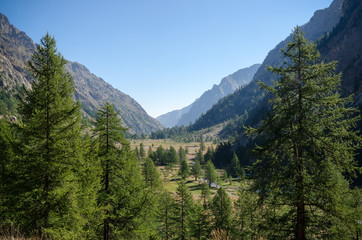 Fototapeta premium Mountain plateau with river, grass and trees