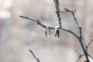Two wedding rings of white gold on a branch