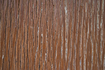 Obraz premium Brown wood texture. Abstract background