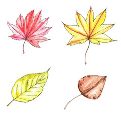Watercolor and ink hand drawn illustration of colorful bright autumn leaves isolated on the white background