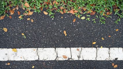 asphalt road texture with green grass and orange falling leaves