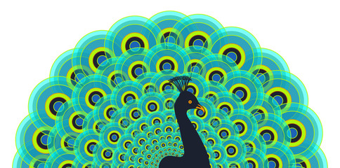 stylized peacock with a blue and yellow open tail