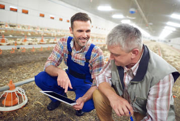 Farmers checking the modern technology © gpointstudio