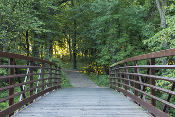 Obraz premium Footbridge To The Woods / A footbridge leading to the woods in the morning.
