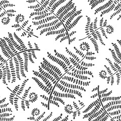 Fern seamless pattern. Vector black & white  illustration.