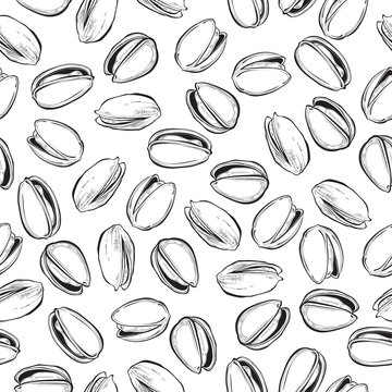  Pistachio. Seamless Vector Pattern. Outline Hand Drawn Illustration.