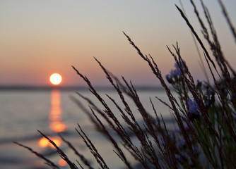Hay straws as silhouette against a beautiful sunset in Finland