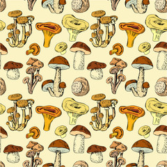 Seamless pattern with hand drawn edible mushrooms