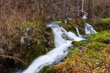 Mountains stream with moss