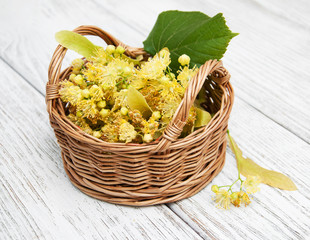 basket with lime flowers