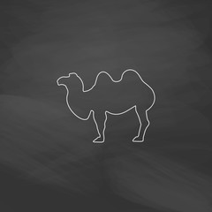 camel computer symbol