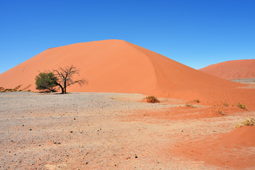 Fototapeta na wymiar Sossusvlei Namibia Africa