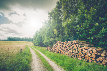 Rural scenery with wooden logs