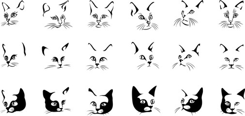 The face of a black cat, vector the image of a cat face, cat,  portrait. Black silhouette of cat. Vector illustration
