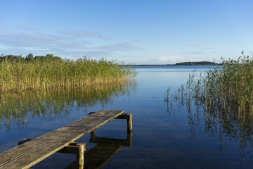 Fototapeta na wymiar pier on the lake among the reeds