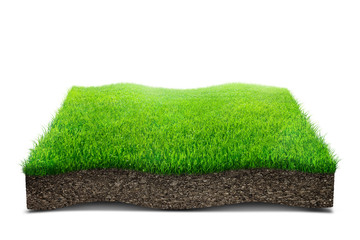 field