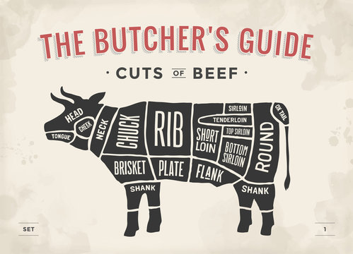 Cut of beef set. Poster Butcher diagram and scheme - Cow. Vintage typographic hand-drawn. Illustration.