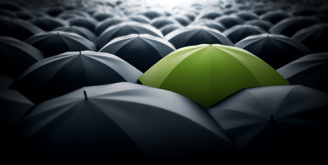 Image result for green umbrella in a sea of black ones