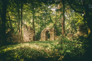Cercles muraux Rudnes Ruines dans la forêt
