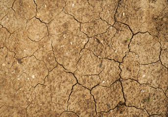 dry cracked brown earth. background