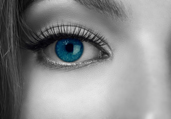 Macro image of human eye. Beautiful eye. Younge woman.