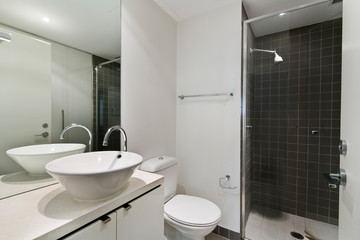 Stylish clean bathroom with shower and bath tub