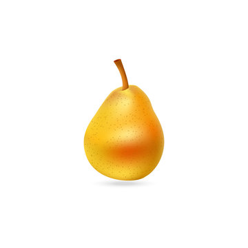 Tasty pear illustration. Fruit icon.