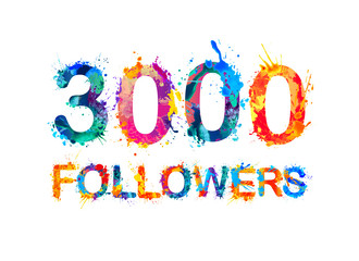 3000 (three thousand) followers