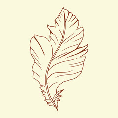Decorative line art doodle style tribal feather