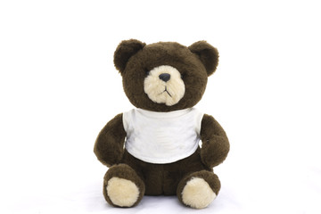 soft toy teddy bear on white background.