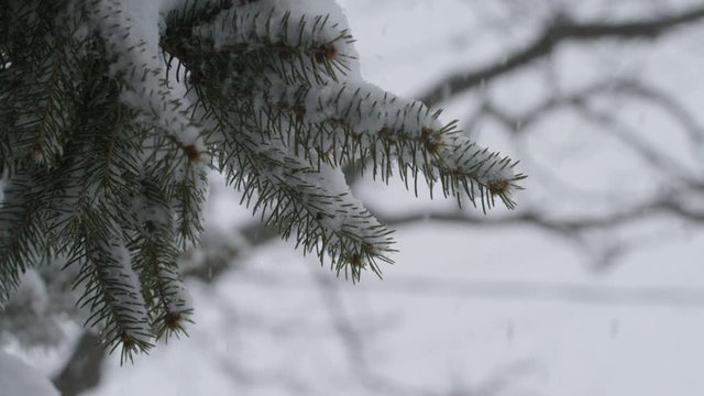 Snow Storm In The Winter - Removal Of Frozen Precipitation 