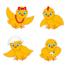 chicken baby set