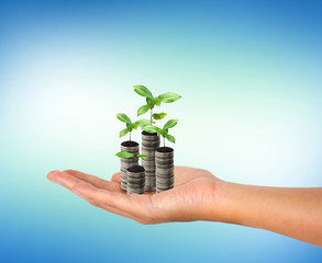 Stack of silver coin and small plant growth in the woman hand.