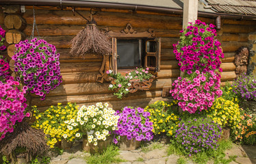 Fototapeta na wymiar wooden house from logs decorated with bright and colorful petunia 