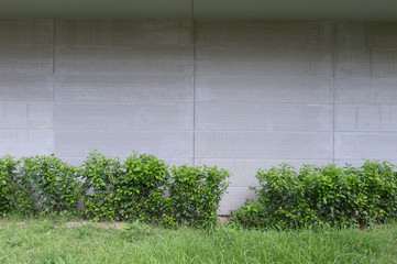 Large blank billboard on a street wall, banners with room to add your own text